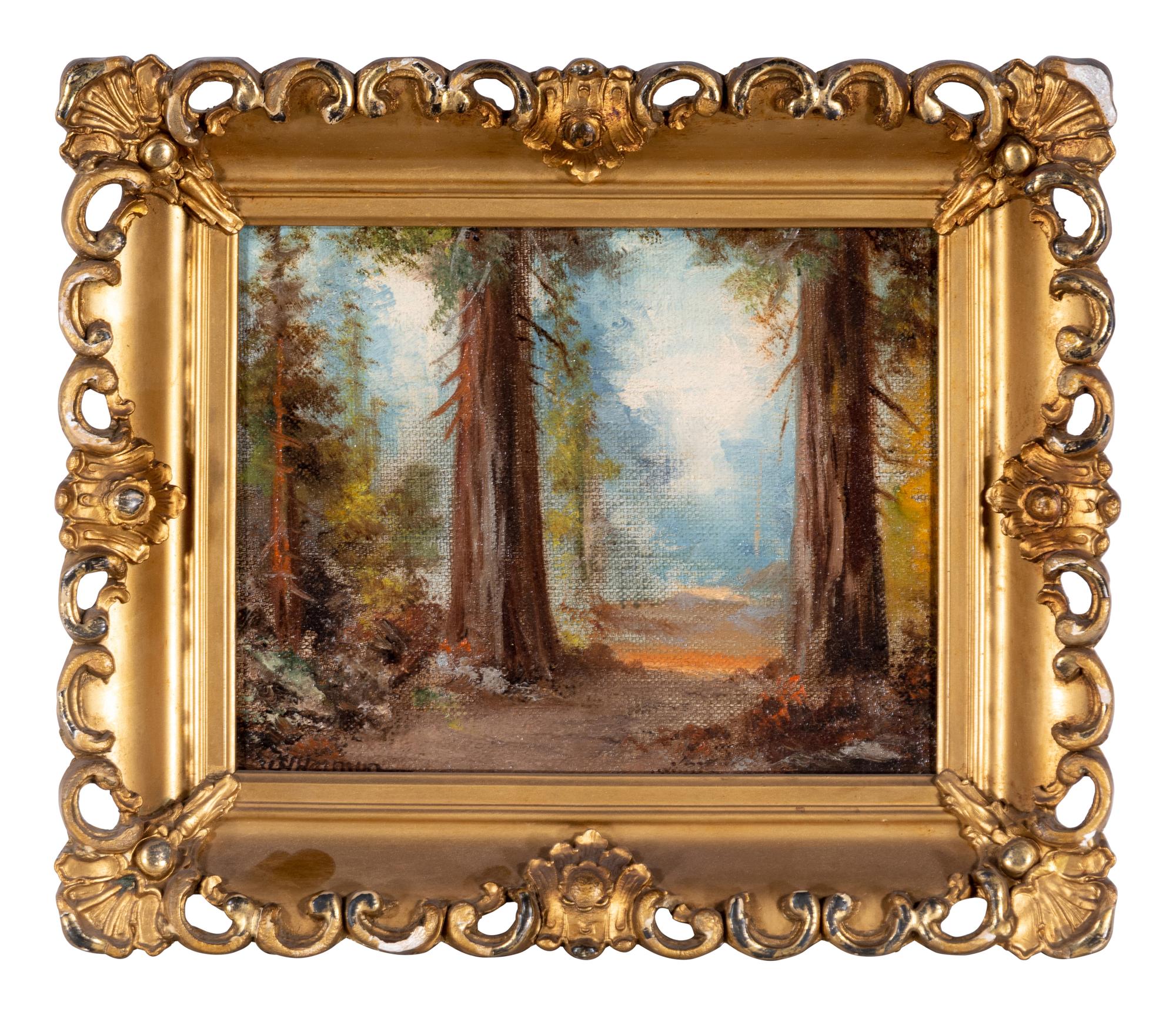 Forest Path