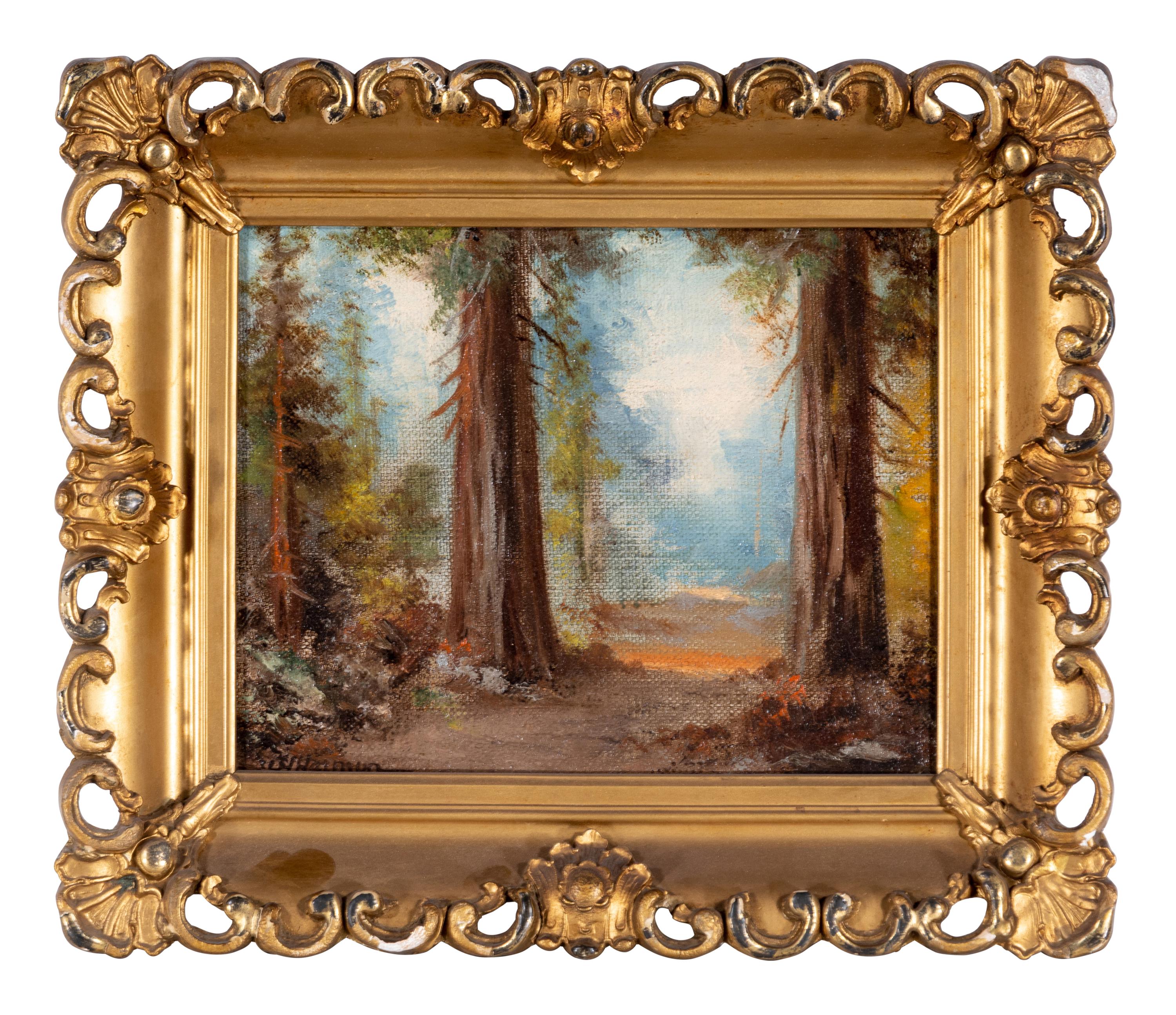 Forest Path