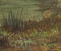Landscape , 1885