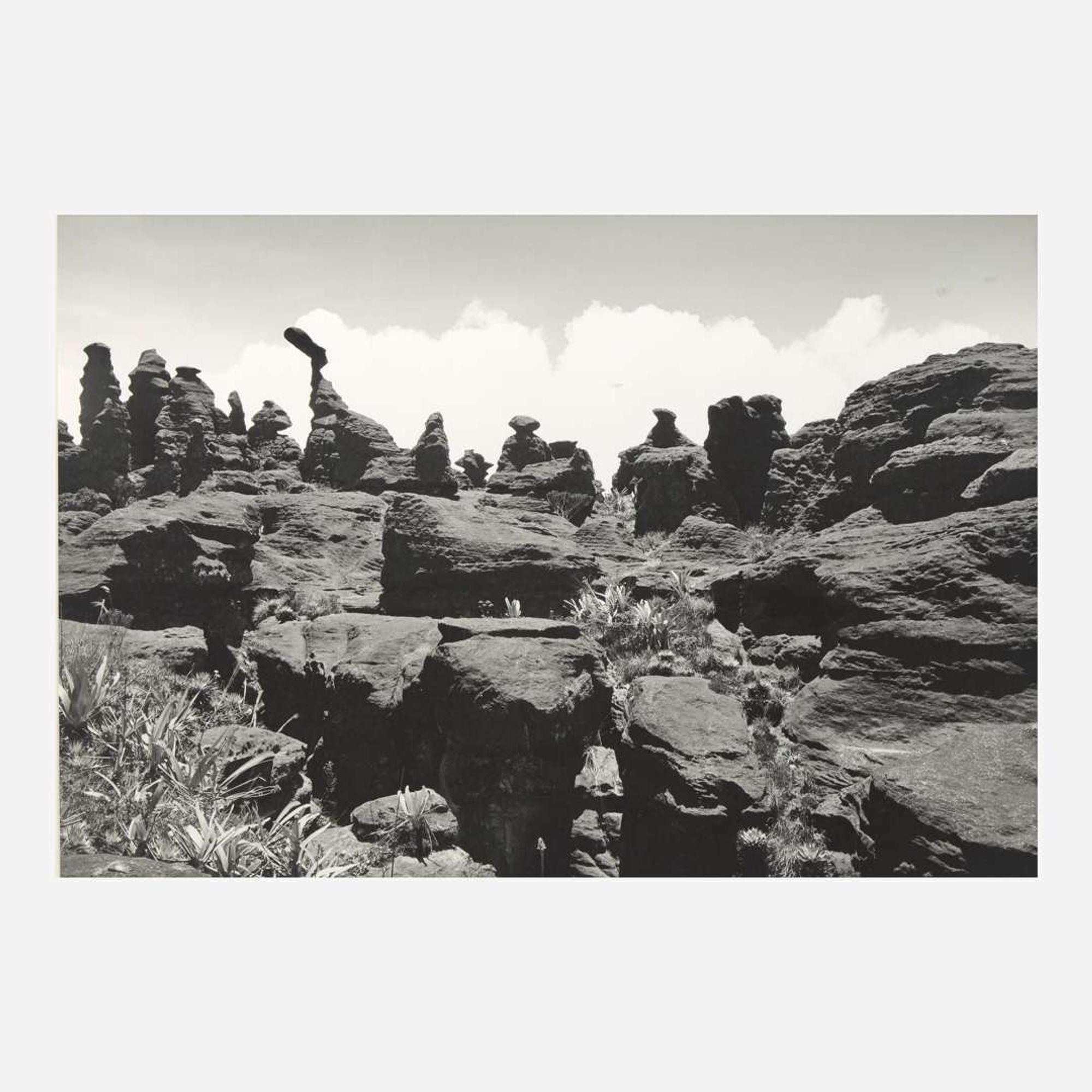 Lothar Baumgarten (German, 1944-2018) Kukenán-tepui, La Gran Sabana (3)