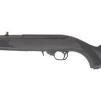 *Ruger Model 10/22 Rifle
