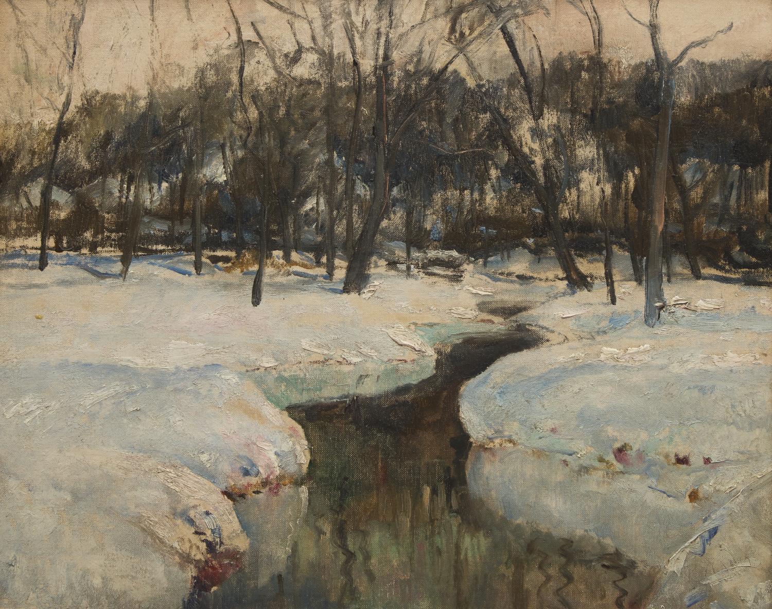 Brook in the Woods
