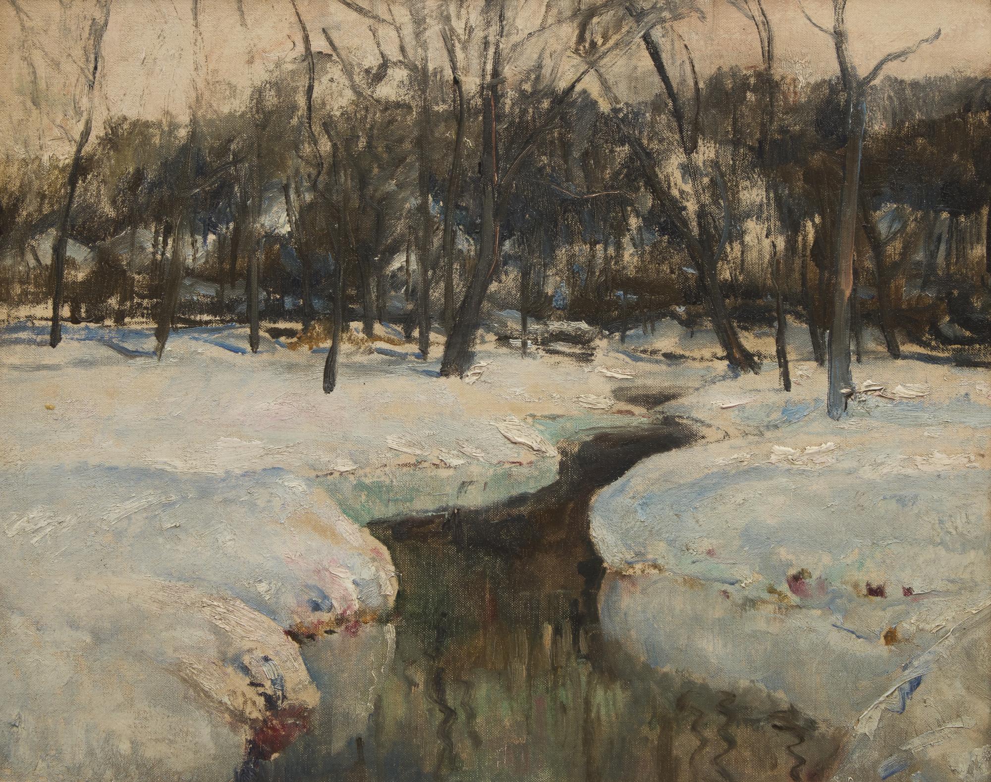 Brook in the Woods