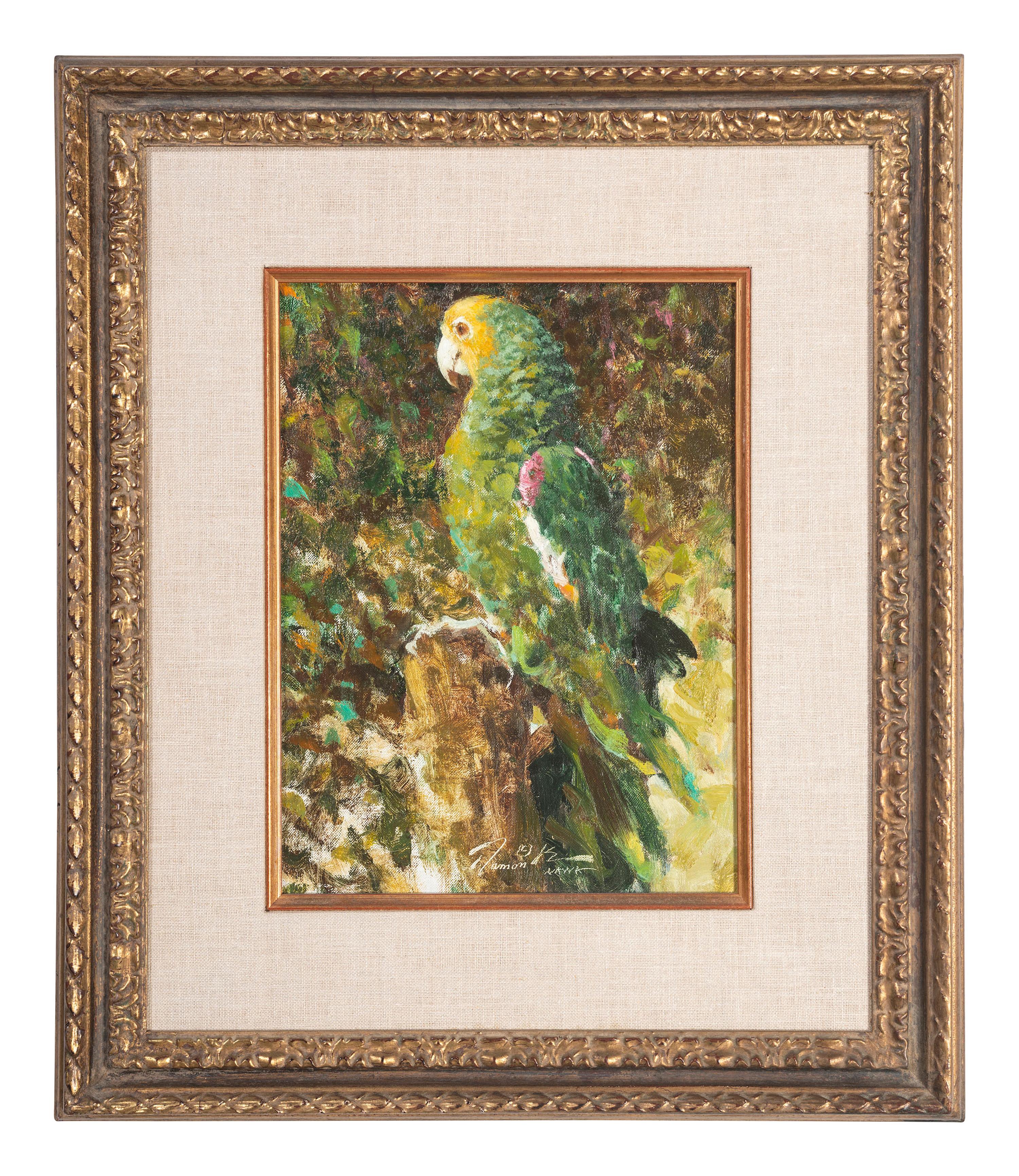 Parrot