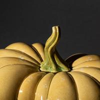 Pumpkin, 2006