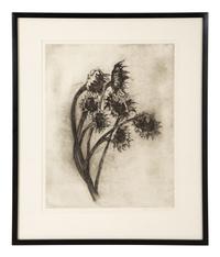 Untitled (Sunflowers)