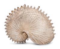 A Mexican Silver Shell-Form Table Ornament