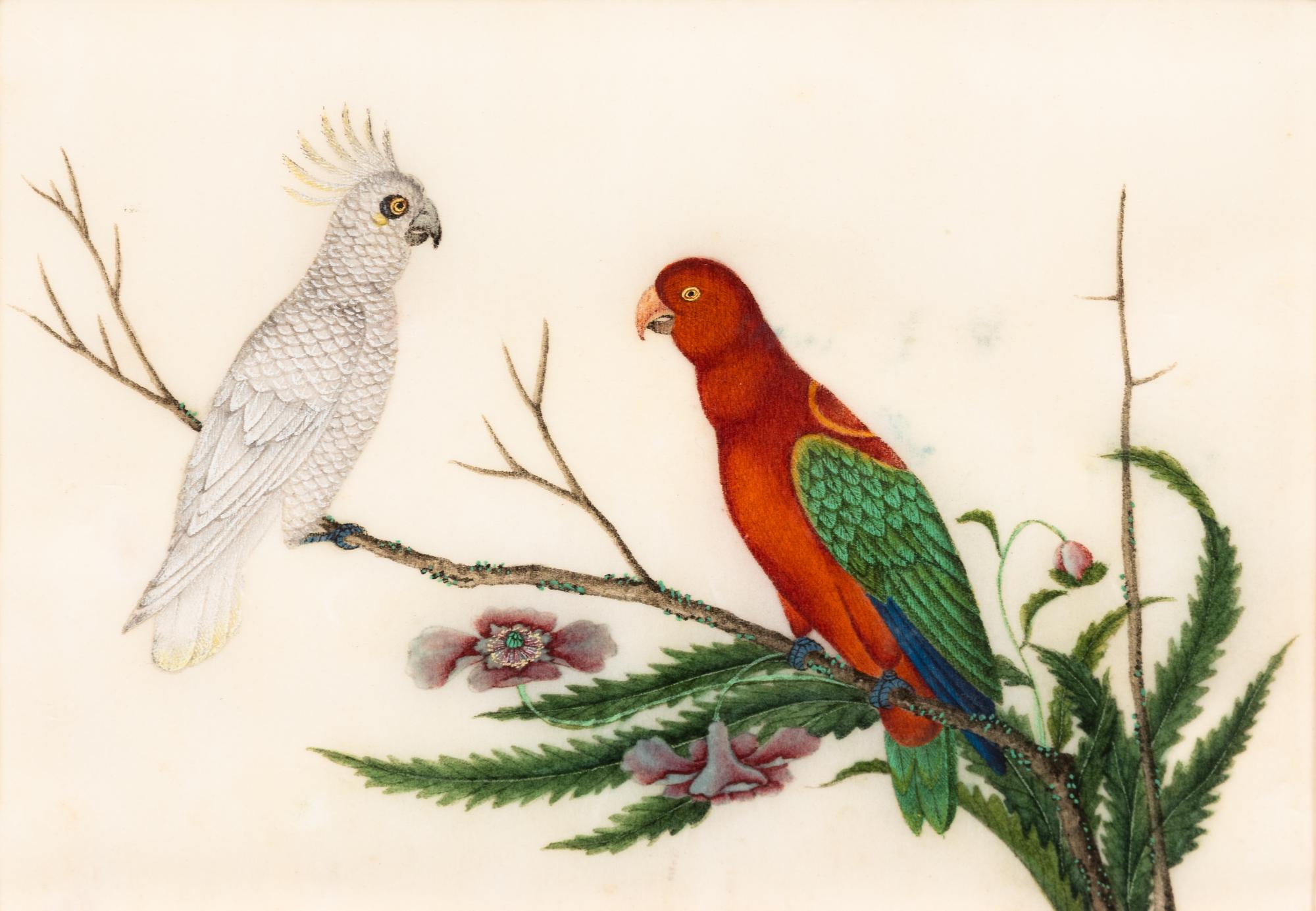 A Collection of Twelve Chinese Export Pith Paintings