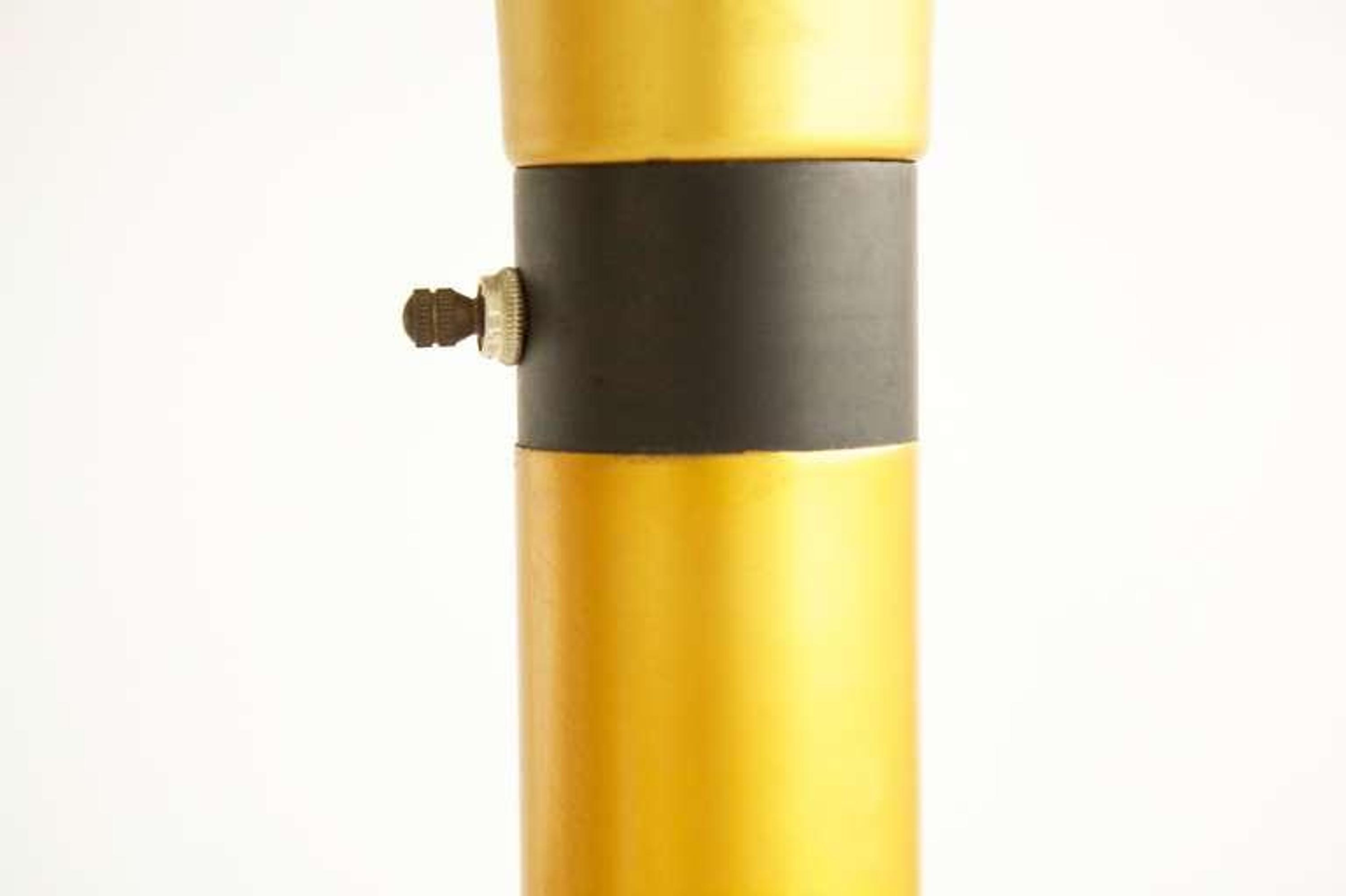 Pair of Floor Lamps
