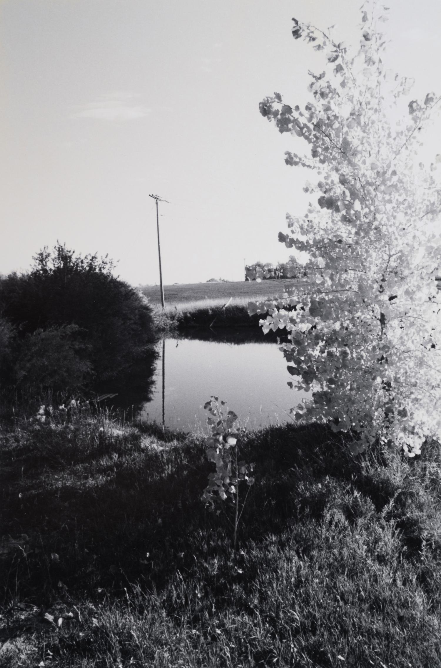 A group of three landscapes