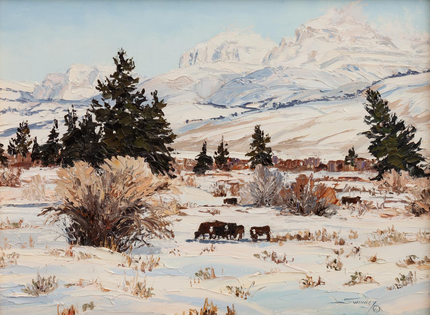 Winter in the Du Noir Valley