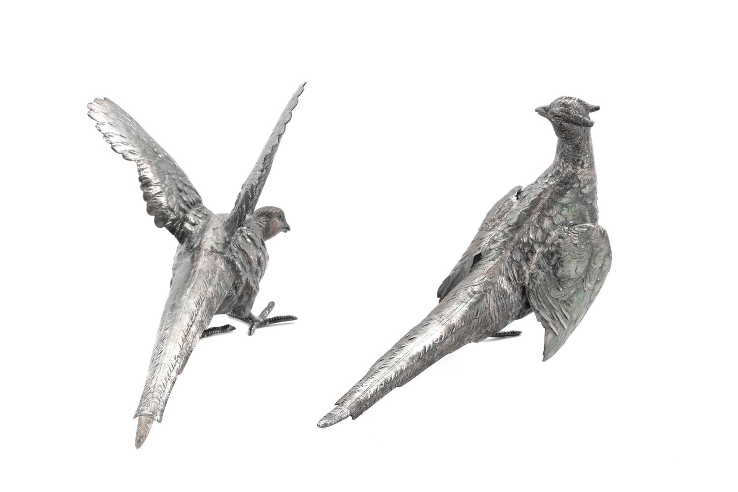 Two English Silver Pheasants