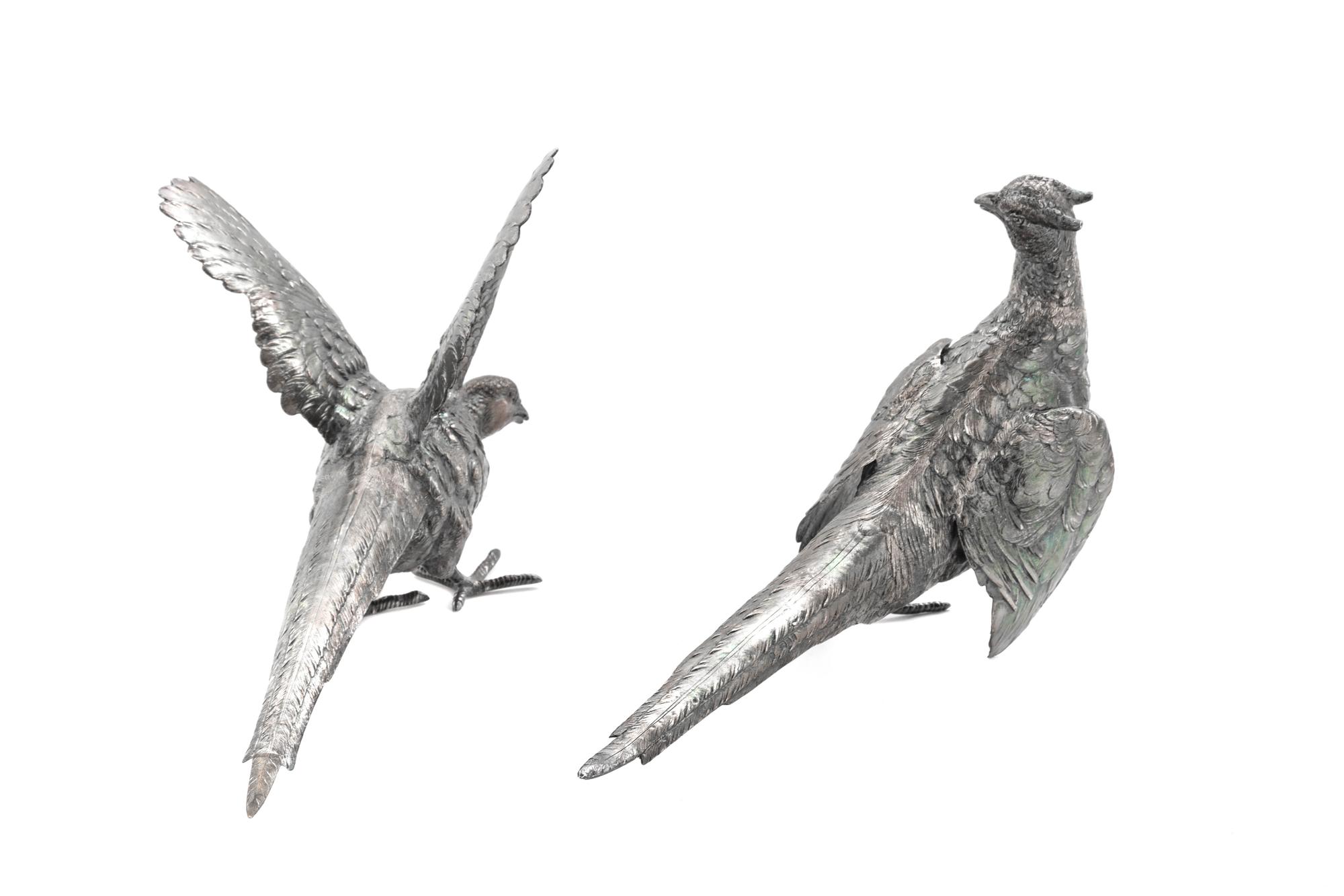 Two English Silver Pheasants