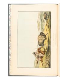 [AMERICANA]. McKENNEY, Thomas L. (1785-1859) and James HALL (1793-1868). History of the Indian Tribes of North America . Philadelphia: [Edward C. Biddle, 1836]; Frederick W. Greenough, 1838; Daniel Rice and James G. Clark, 1844.