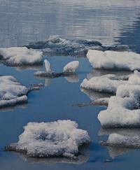Ice in Glacial Lake, Fjnllsarlon, South Coast (from Portfolio II: Iceland )