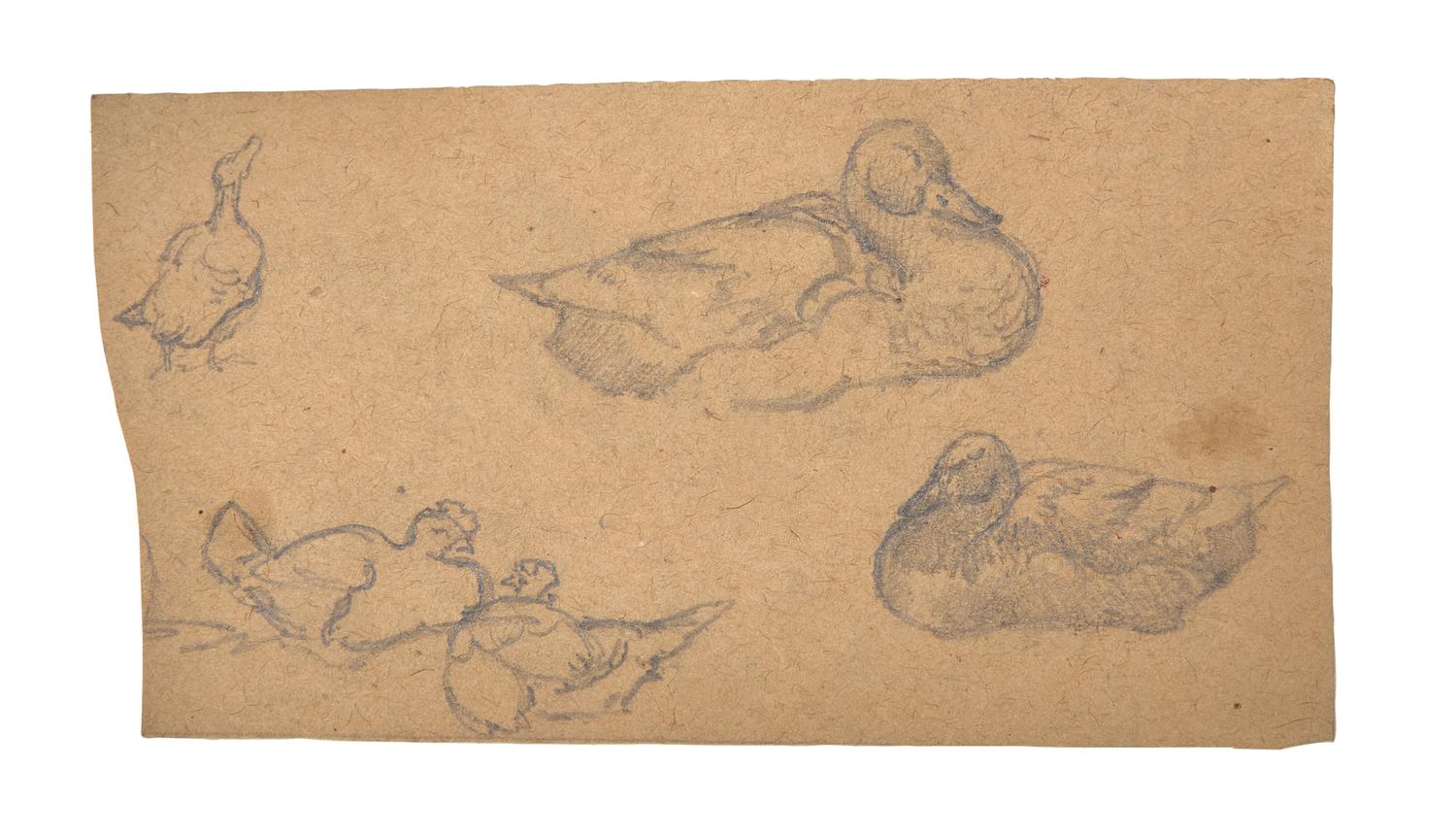 Farm Animal Studies: F older of Eighteen (18) Pencil Drawings