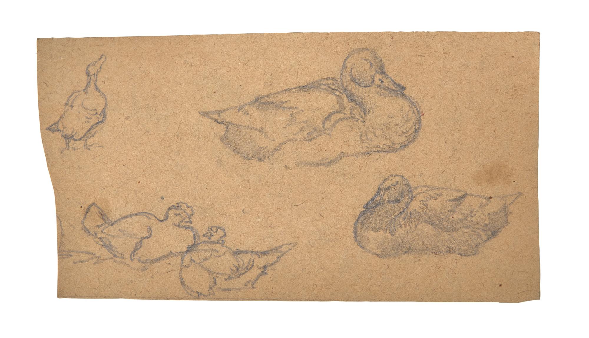 Farm Animal Studies: F older of Eighteen (18) Pencil Drawings