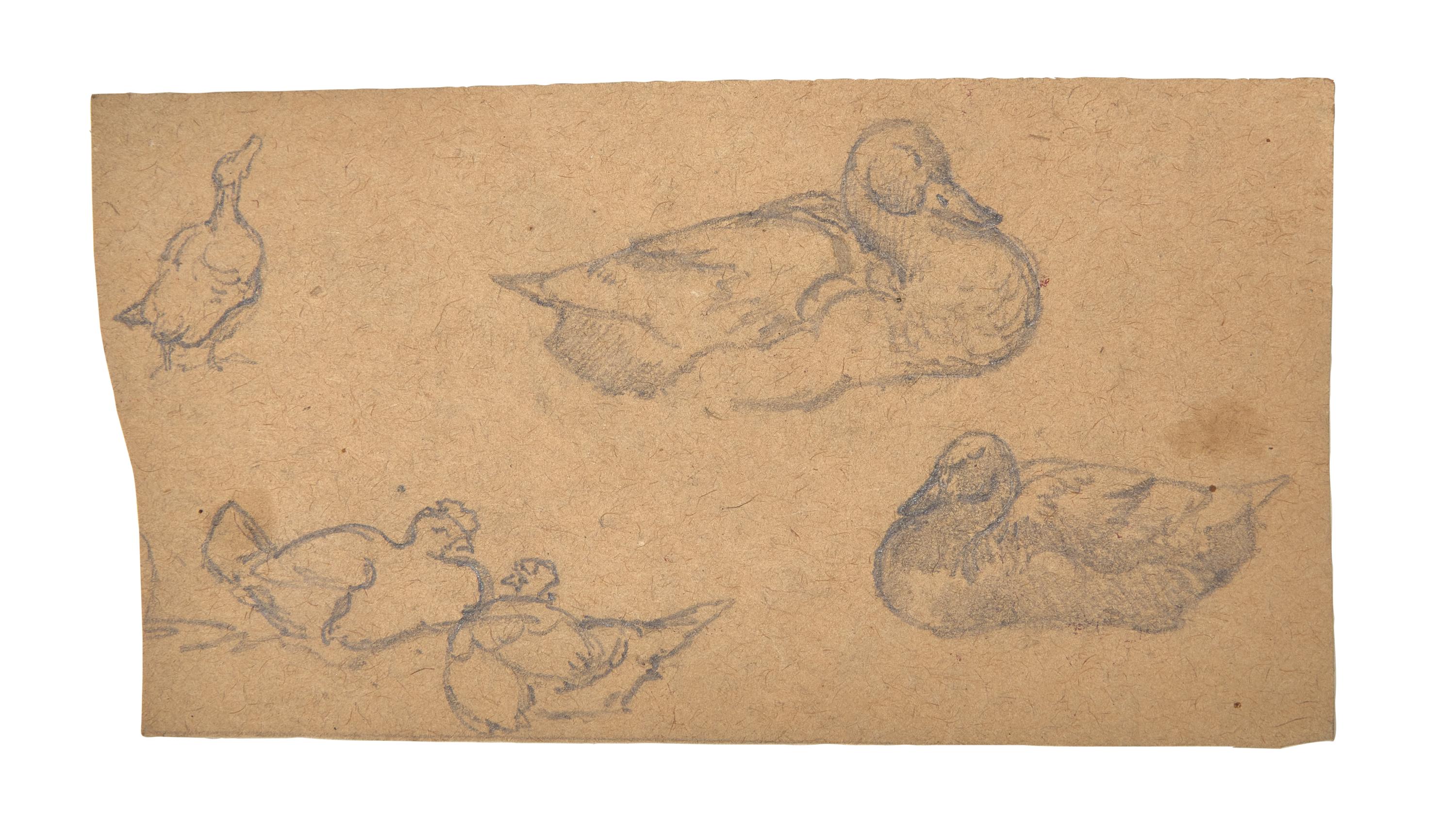 Farm Animal Studies: F older of Eighteen (18) Pencil Drawings