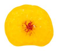 Bel Fiore