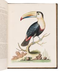 [NATURAL HISTORY]. EDWARDS, George (1694-1773). A Natural History of Uncommon Birds ... London: for the author, [1743]-1751 [but ca 1776]. [ With :] Gleanings of Natural History ....London: for the Author, 1758-1764.