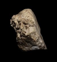 A Roman Marble Head of a Triton