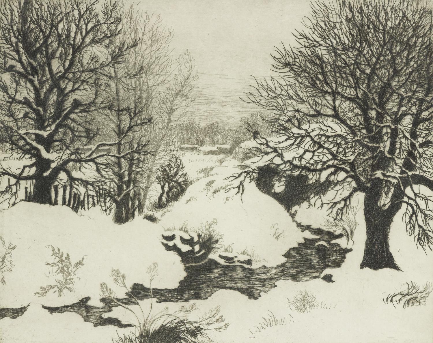 Snowy Banks