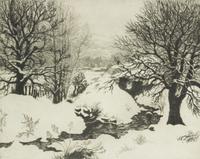 Snowy Banks