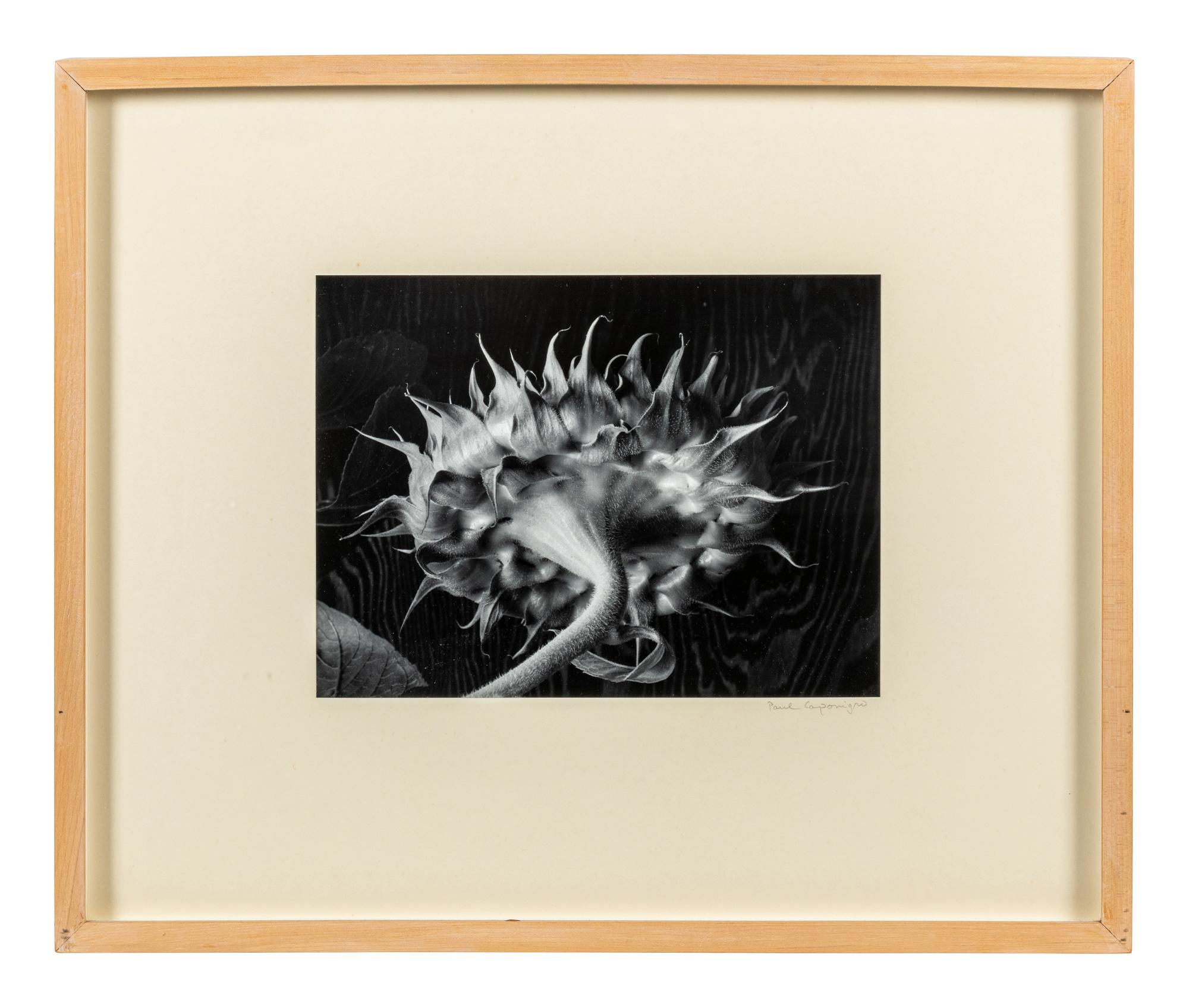 Paul Caponigro (born 1932) Winthrop, Massachusetts, 1965