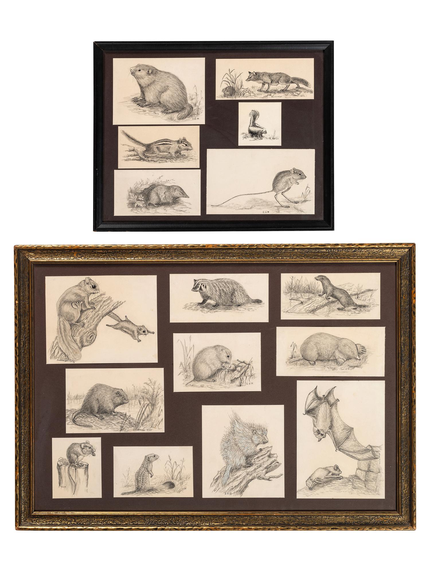 [ILLUSTRATION ART]. WRIGHT, Earl G., artist. A group of 16 sketches of wildlife.