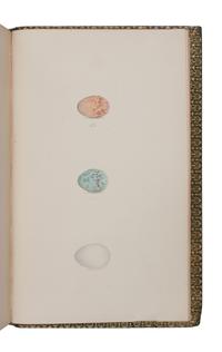 MEYER, Henry Leonard (1797-1865). Coloured Illustrations of British Birds and their Eggs . London: Willis and Sotheran, 1857 (vols. I & VII); G.W. Nickisson, 1844 (vol. II); Simpkin, Marshall, & Co., 1846-1849 (vols. III-VI).