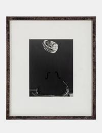The Other Series: After Muybridge — 1990