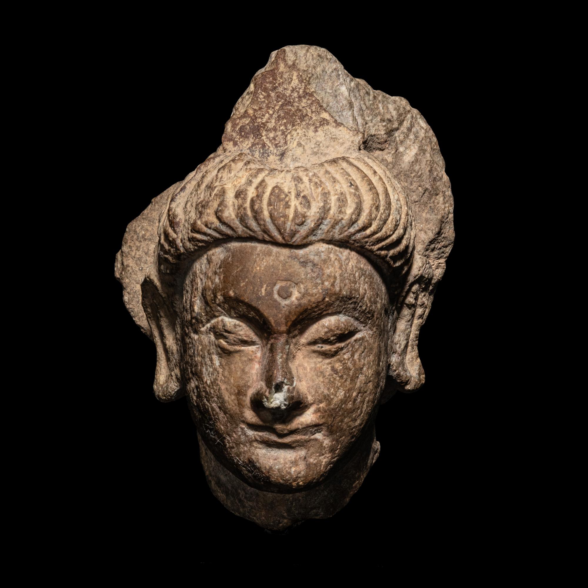 A Gandharan Grey Schist Head of Buddha