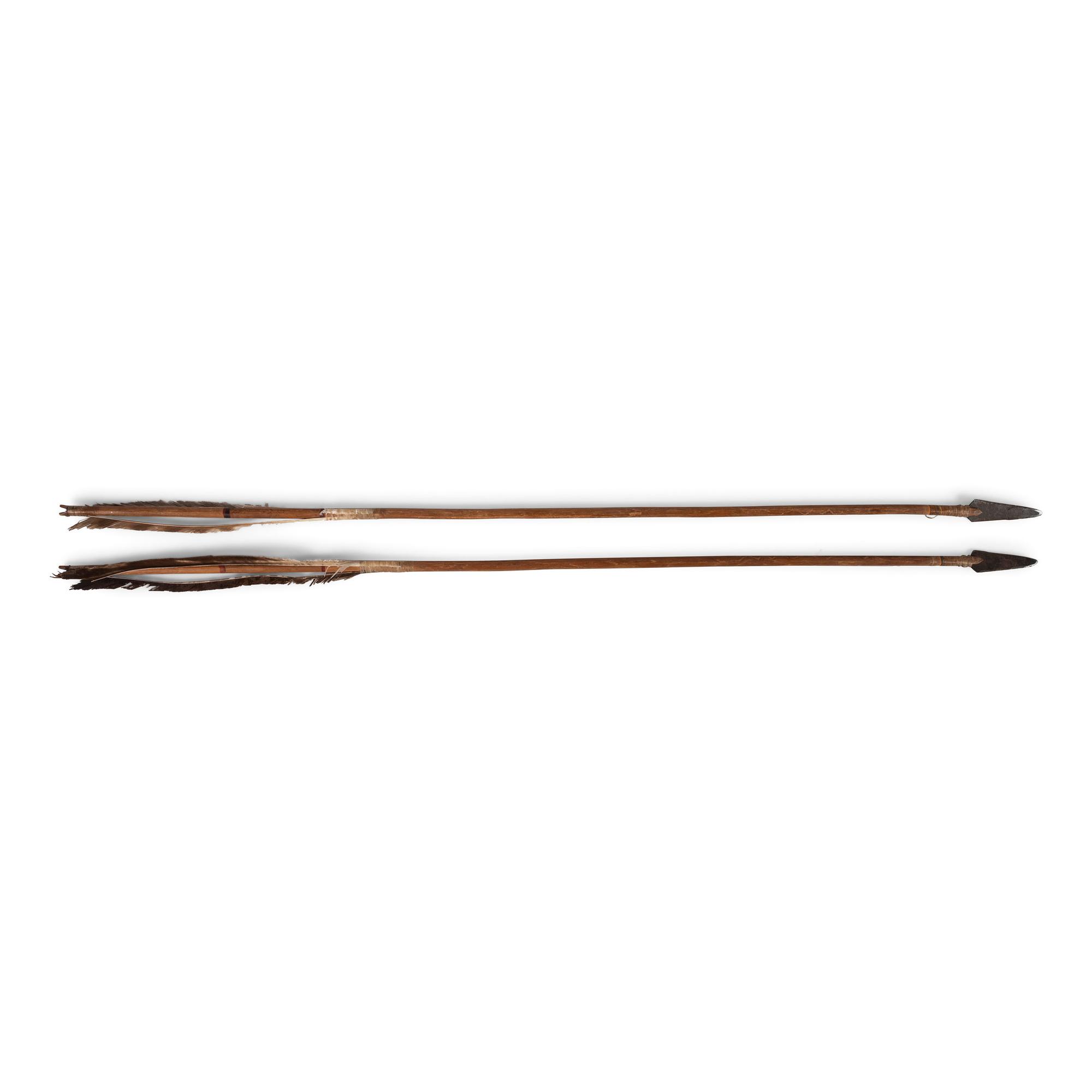 Pair of Plains Matched Arrows