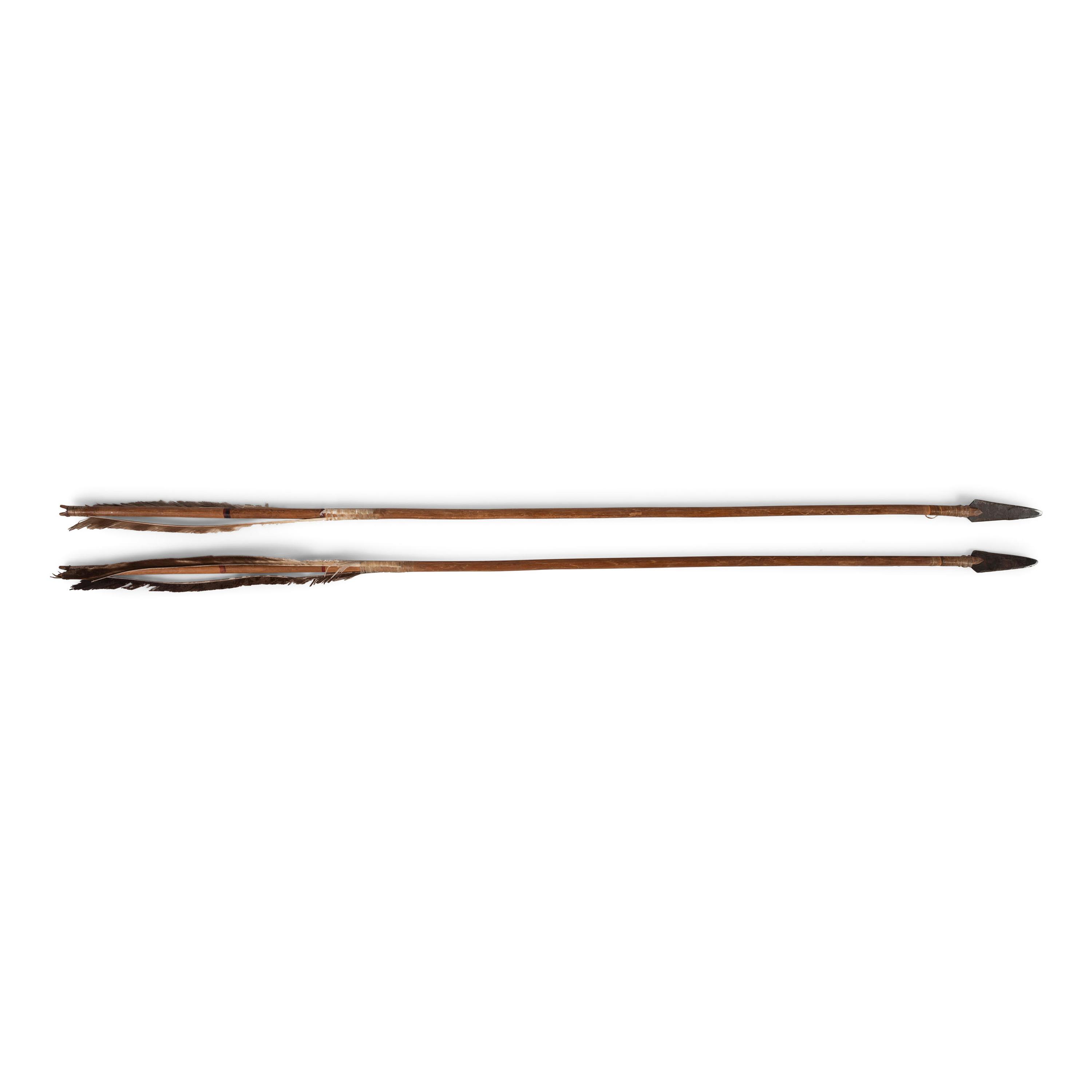 Pair of Plains Matched Arrows