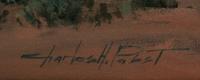 Navajo Summer Rain
