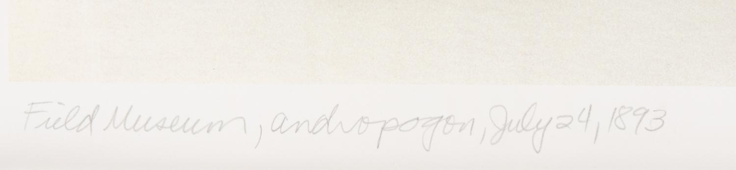 Field Museum, Andropogon, July 24, 1893 , 1999