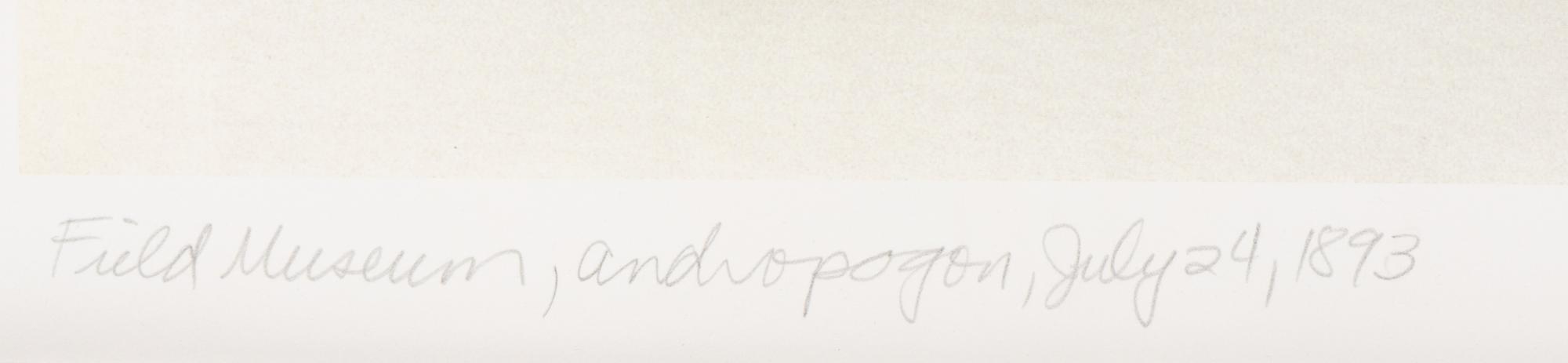 Field Museum, Andropogon, July 24, 1893 , 1999