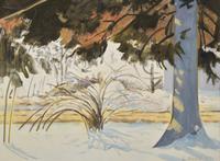 Bush + Tree, 2009