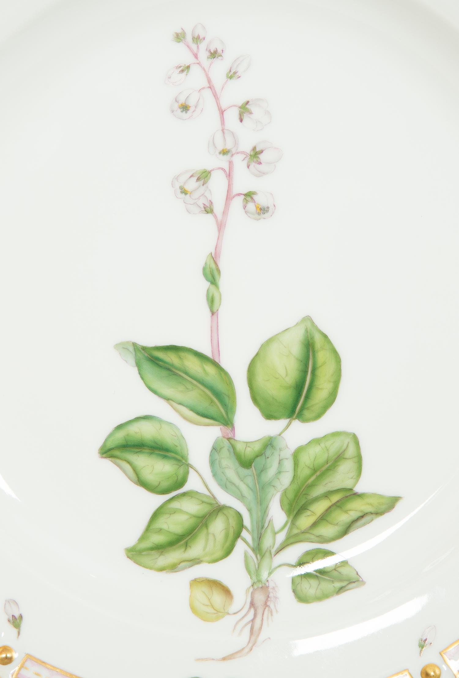 Twelve Royal Copenhagen Flora Danica Porcelain Dinner Plates