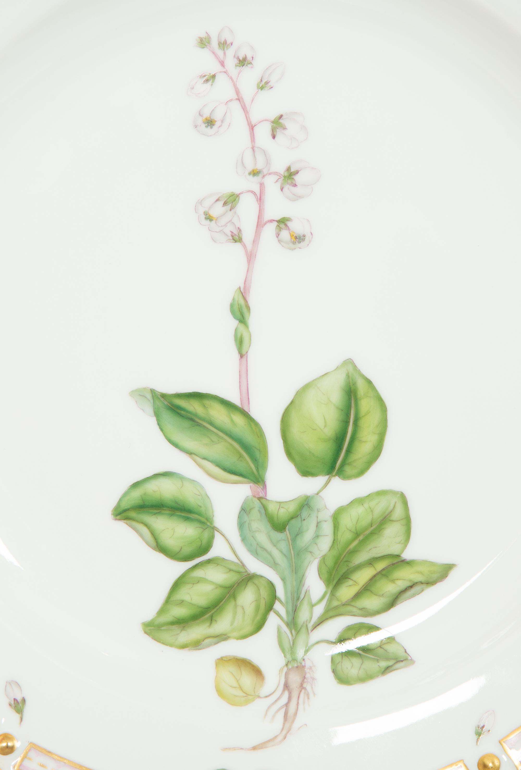Twelve Royal Copenhagen Flora Danica Porcelain Dinner Plates