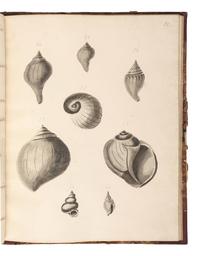 [MARITIME SHELLS & FOSSILS MANUSCRIPT]. Malet, S. "Hampshire Fossils." -- "French Fossils." [London, ca 19th century].