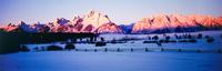 Teton Shadows, edition 259/950