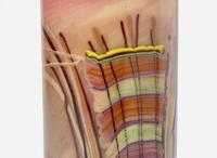 Dale Chihuly, Early "Navajo Blanket" Cylinder