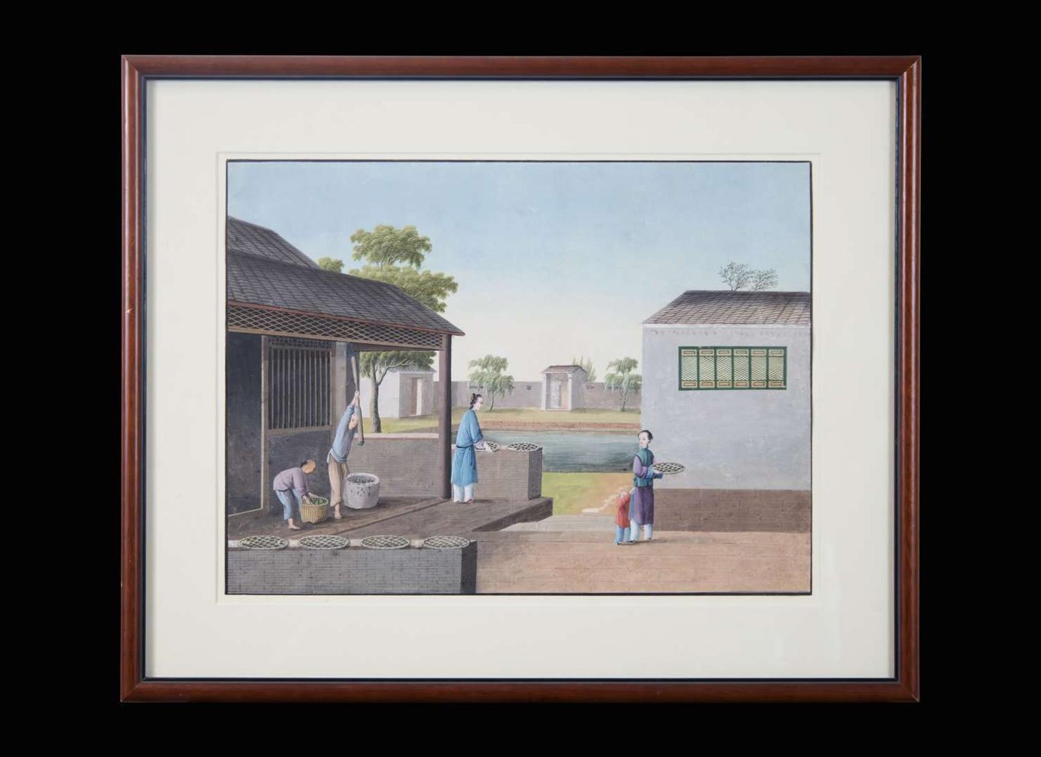 A group of five Chinese Export paintings depicting the manufacture of tea, first part 19th century 製茶圖一組五幅 十九世紀初