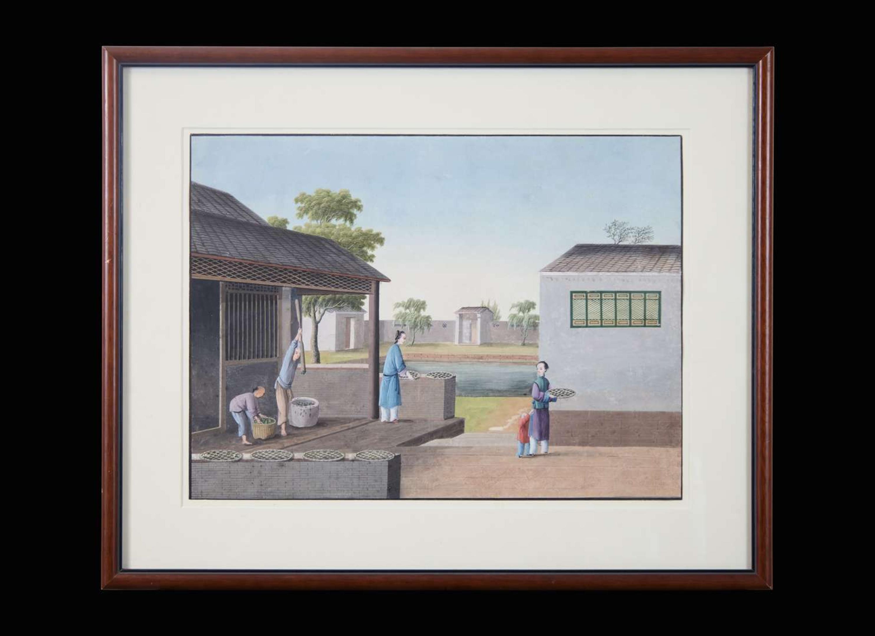 A group of five Chinese Export paintings depicting the manufacture of tea, first part 19th century 製茶圖一組五幅 十九世紀初