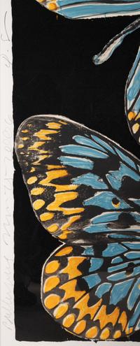 Butterflies
