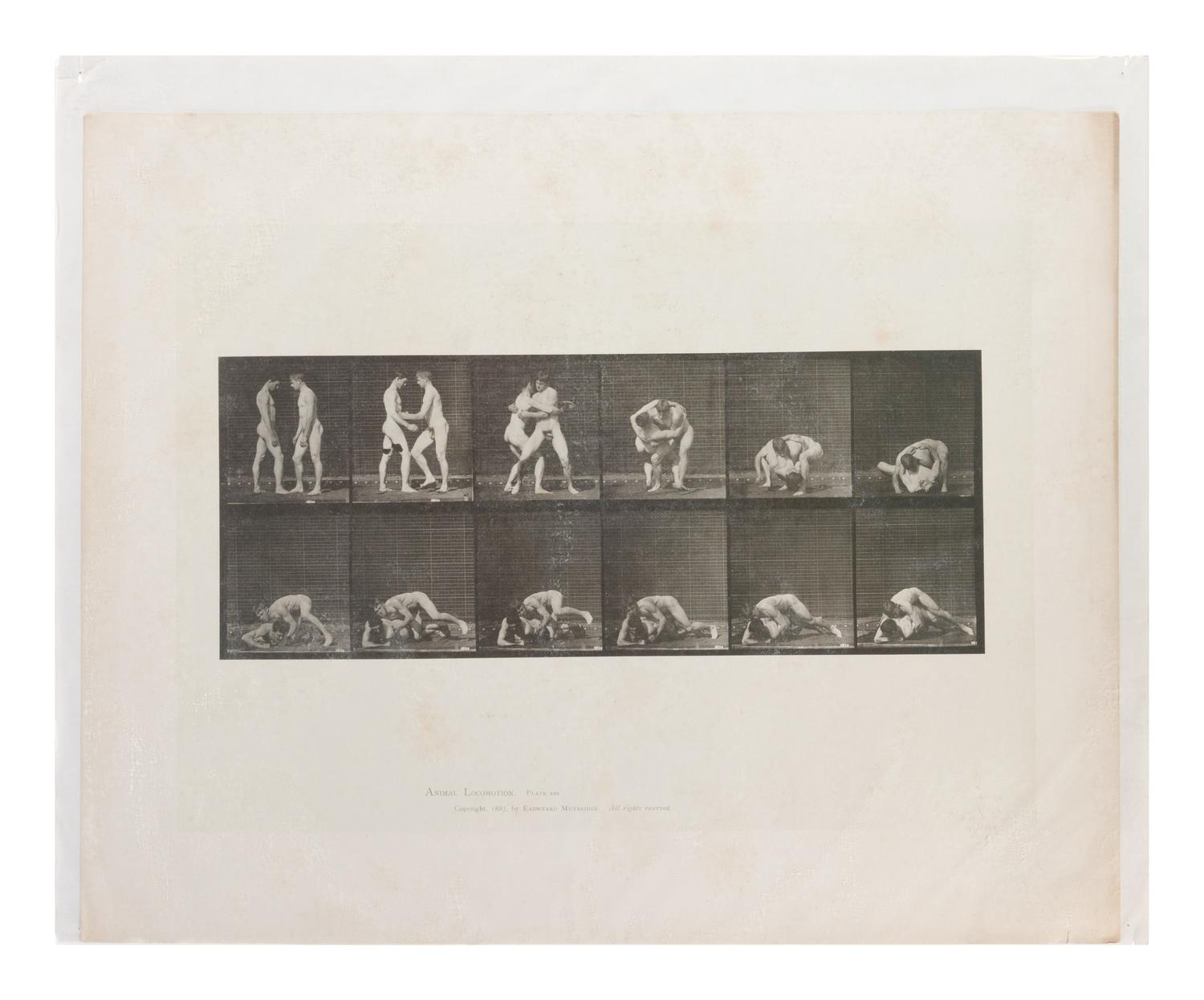 15 Plates from Animal Locomotion , 1887