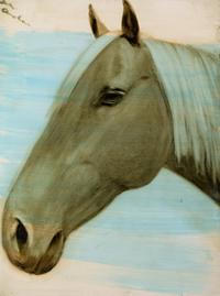 Untitled (Horse Head)