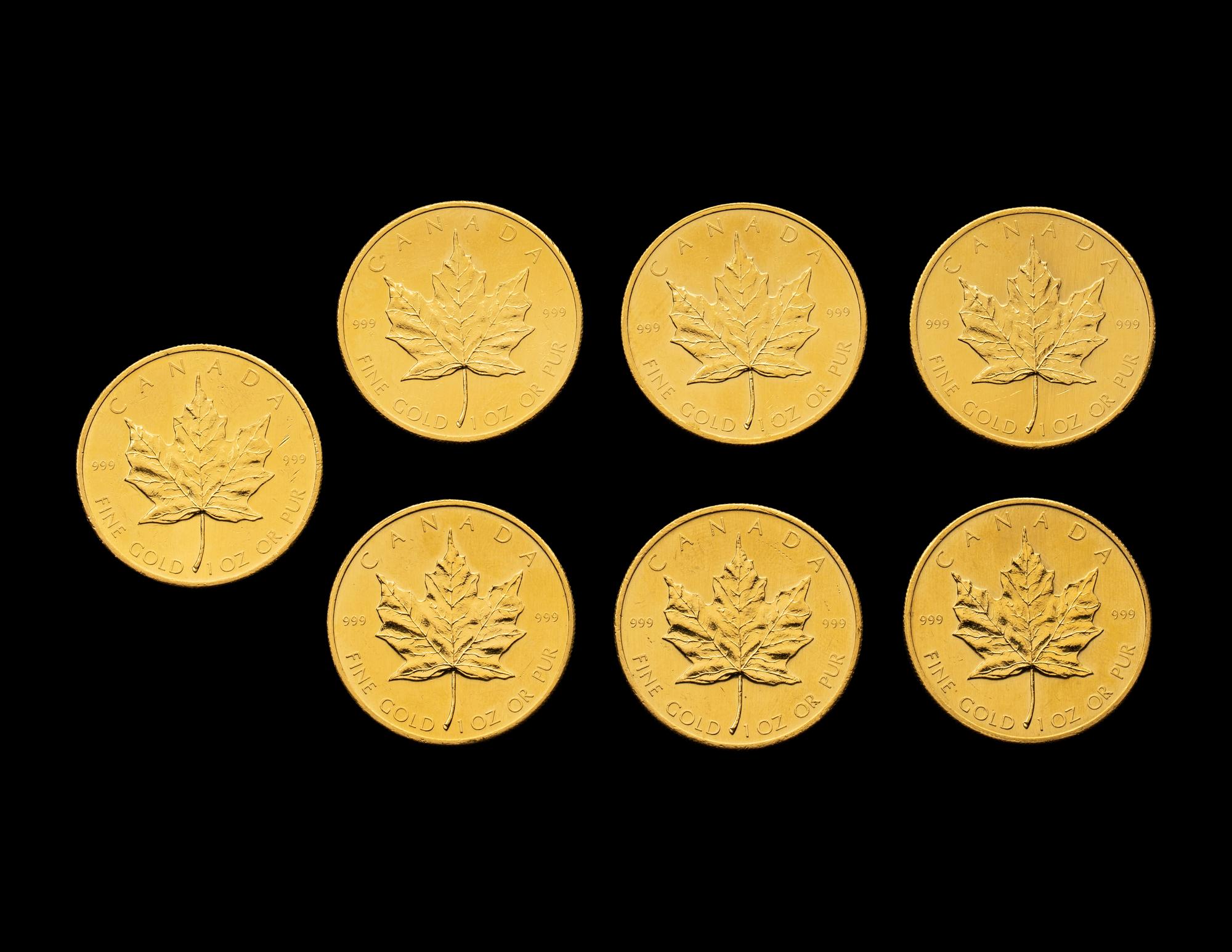[CANADA] A Group of Seven 1980 Maple Leaf $50 Gold Coins