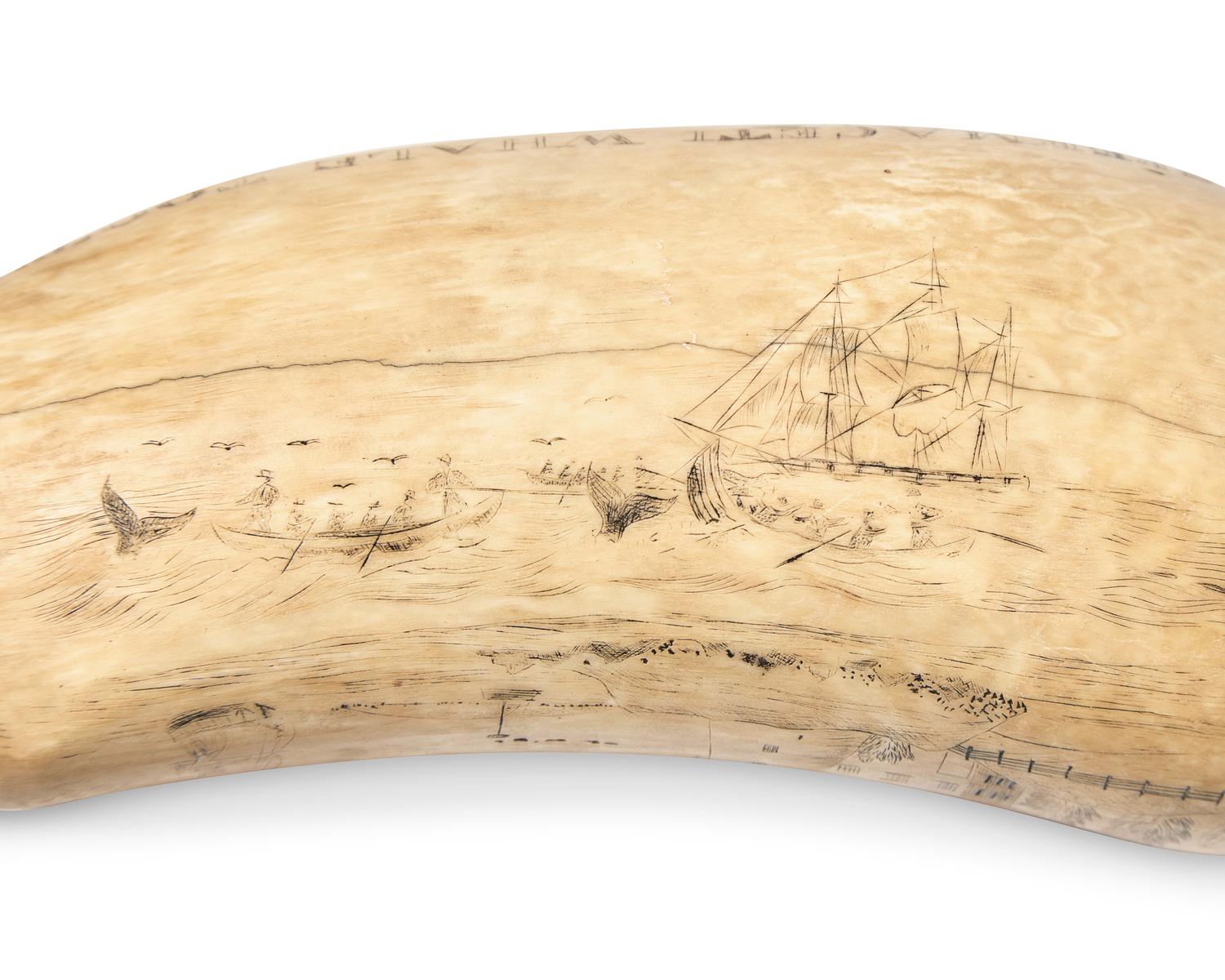 A Large Scrimshaw Whale Tooth Worked On The Whaler Atlantic